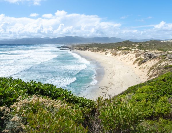 Walker Bay Nature Reserve in De Kelders an der Garden Route Südafrika