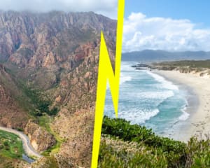 Route 62 vs. Garden Route: Welche Strecke ist die richtige für dich?