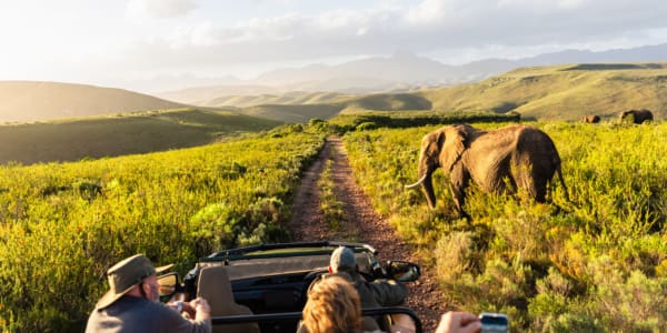 Safari Kapstadt: Pirschfahrt Gondwana Game Reserve Südafrika