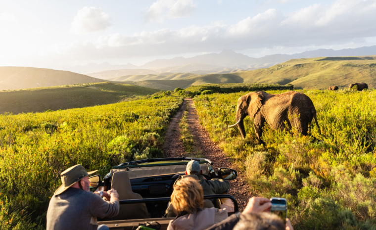 Safari Kapstadt: Pirschfahrt Gondwana Game Reserve Südafrika