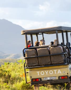 Unterschiede Nationalparks und Private Game Reserves Südafrika