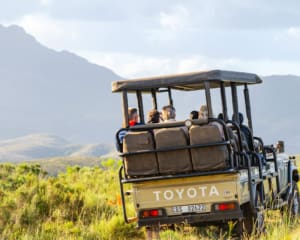 Unterschiede Nationalparks und Private Game Reserves Südafrika