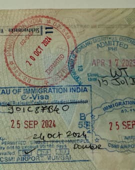 Stempel Indien Visum im Reisepass