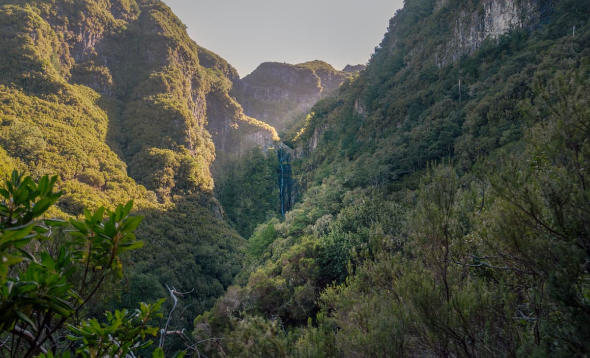 Levada do Risco Wanderung zum Risco Wasserfall (Madeira)