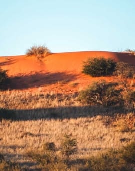 Nordkap Provinz Südafrika Kalahari Wüste