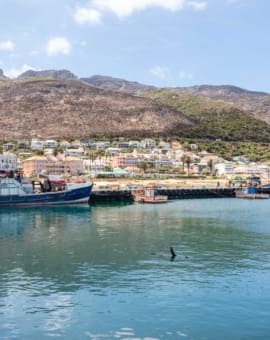 Kalk Bay Hafen bei Kapstadt, Südafrika