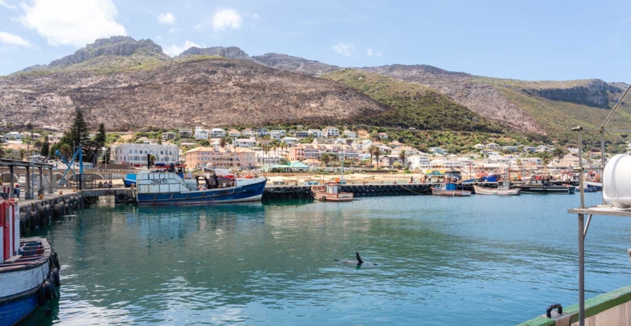 Kalk Bay Hafen bei Kapstadt, Südafrika