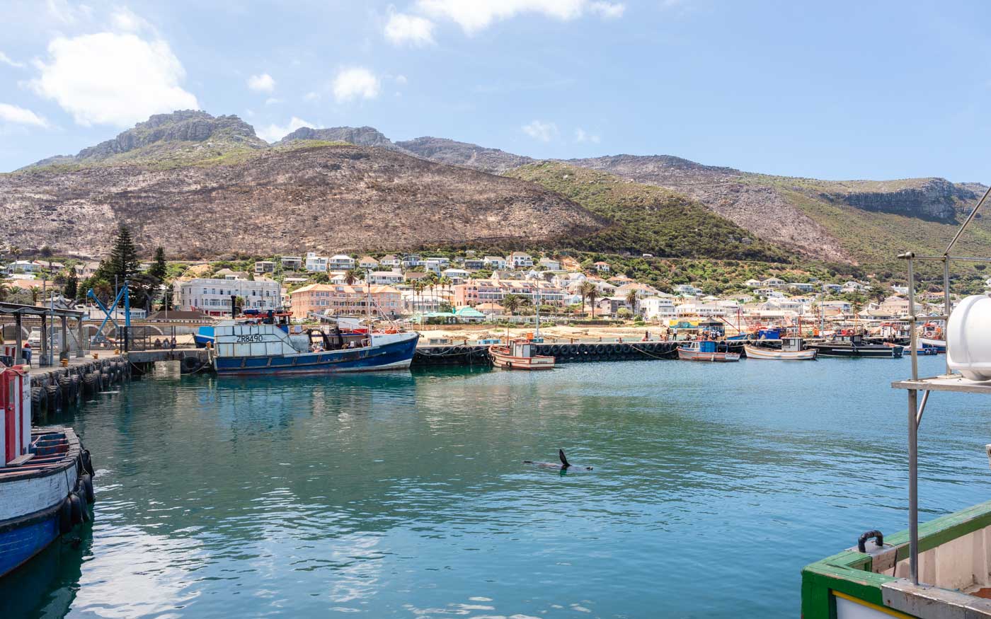 Kalk Bay Hafen bei Kapstadt, Südafrika