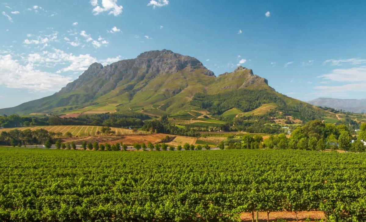 Weingüter Stellenbosch Südafrika