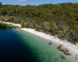 Lake McKenzie K'Gari (Fraser Island, Queensland)