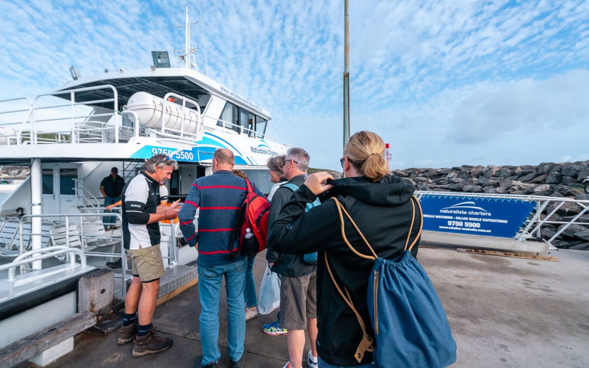 Tour zu Orcas in Bremer Bay mit Naturaliste Charters