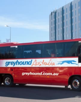 Greyhound Bus Australien lohnt sich