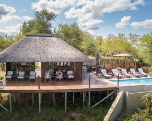 Private Game Reserves Südafrika: Klaserie im Greater Kruger