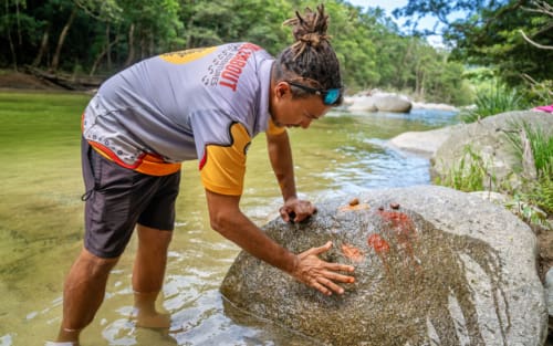 Port Douglas: Daintree Rainforest Tour mit Kuku Yalanji erleben