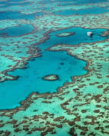 Great Barrier Reef / Marine Park