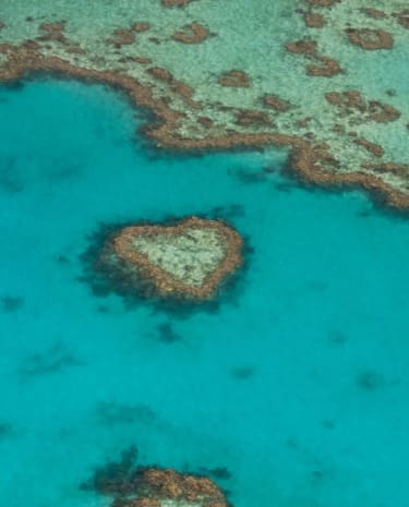 Hear Reef am Great Barrier Reef in Queensland, Australien