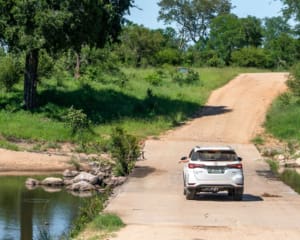 Mietwagen Südafrika Tipps und Tricks