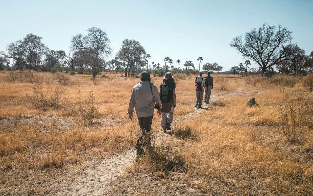 Botswana Bushwalk: Chiefs Island im Okavango Delta