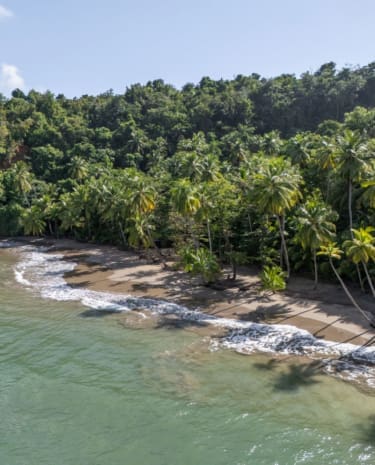 Batibou Beach Dominica