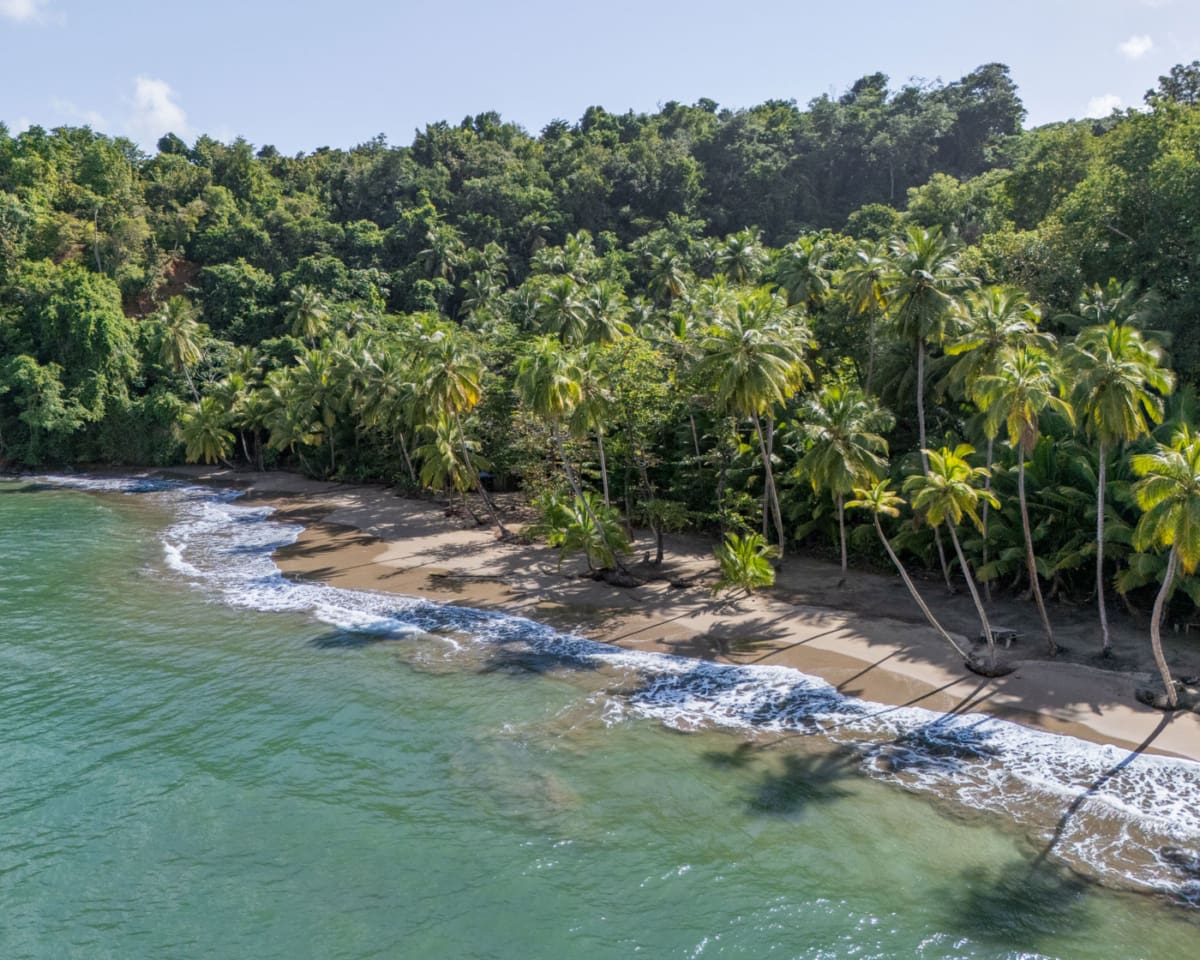 Dominica Sehenswürdigkeiten: Batibou Beach, schönster Strand der Karibikinsel