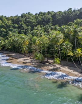 Dominica Sehenswürdigkeiten: Batibou Beach, schönster Strand der Karibikinsel