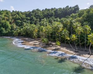 Dominica Sehenswürdigkeiten: Batibou Beach, schönster Strand der Karibikinsel