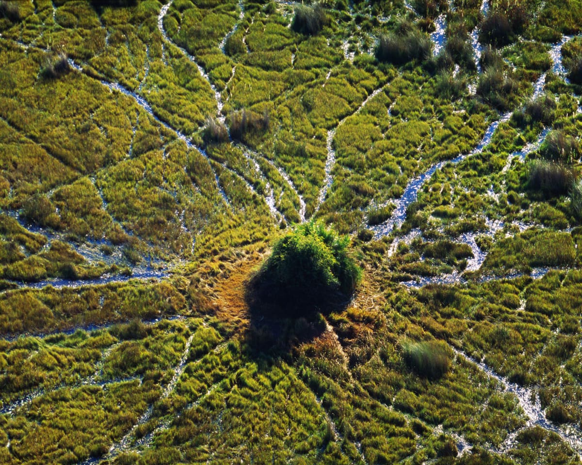 Okavango Delta Luftaufnahme