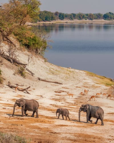 Klima und die beste Reisezeit für Botswana