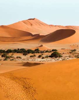 Namibia Reiseblog Reiseberichte Soussouvlei
