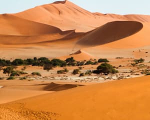 Namibia Reiseblog Reiseberichte Soussouvlei
