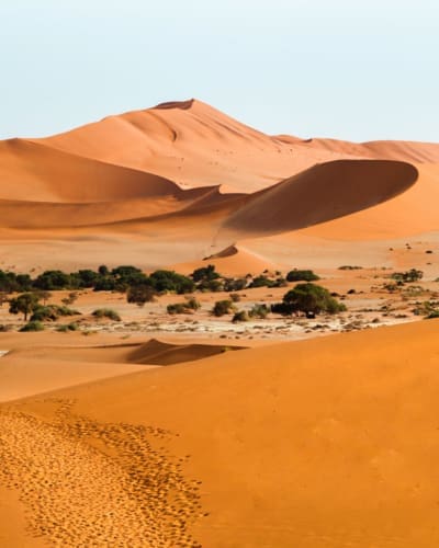 Namibia Reiseblog zur Rundreise: Routen, Tipps und Highlights