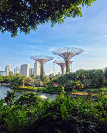 Singapur Reiseberichte auf dem Reiseblog