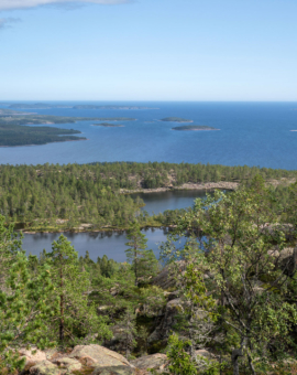 Schweden mit dem Wohnmobil: Camping-Tipps, Stellplätze & Erfahrungen aus erster Hand