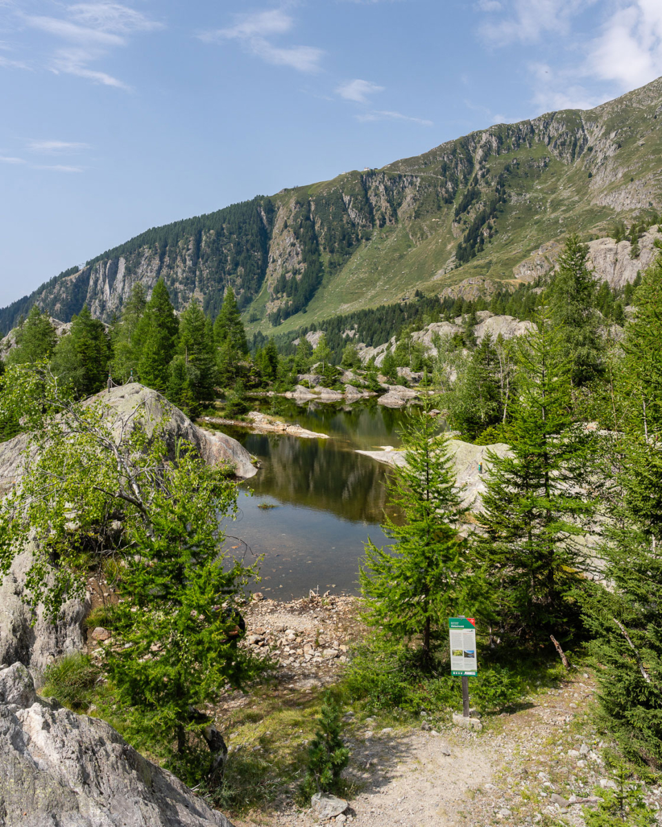 Grünsee im Aletschwald beim Aletsch Panoramaweg