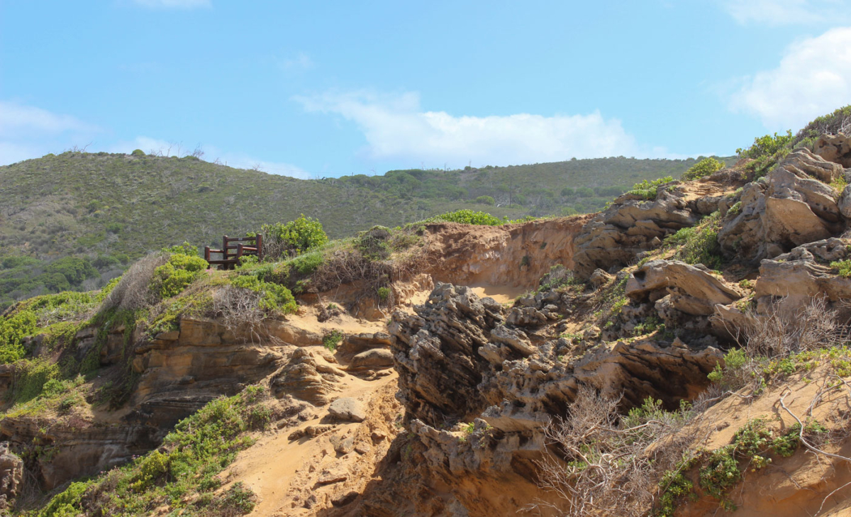 Küstenweg in Brenton-on-Sea bei Knysna