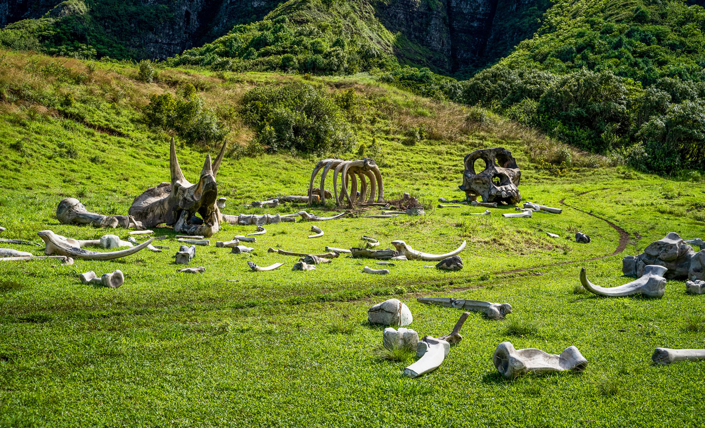 Na, wer rät, was hier gedreht wurde? Die Kualoa Ranch ist beliebter Drehort