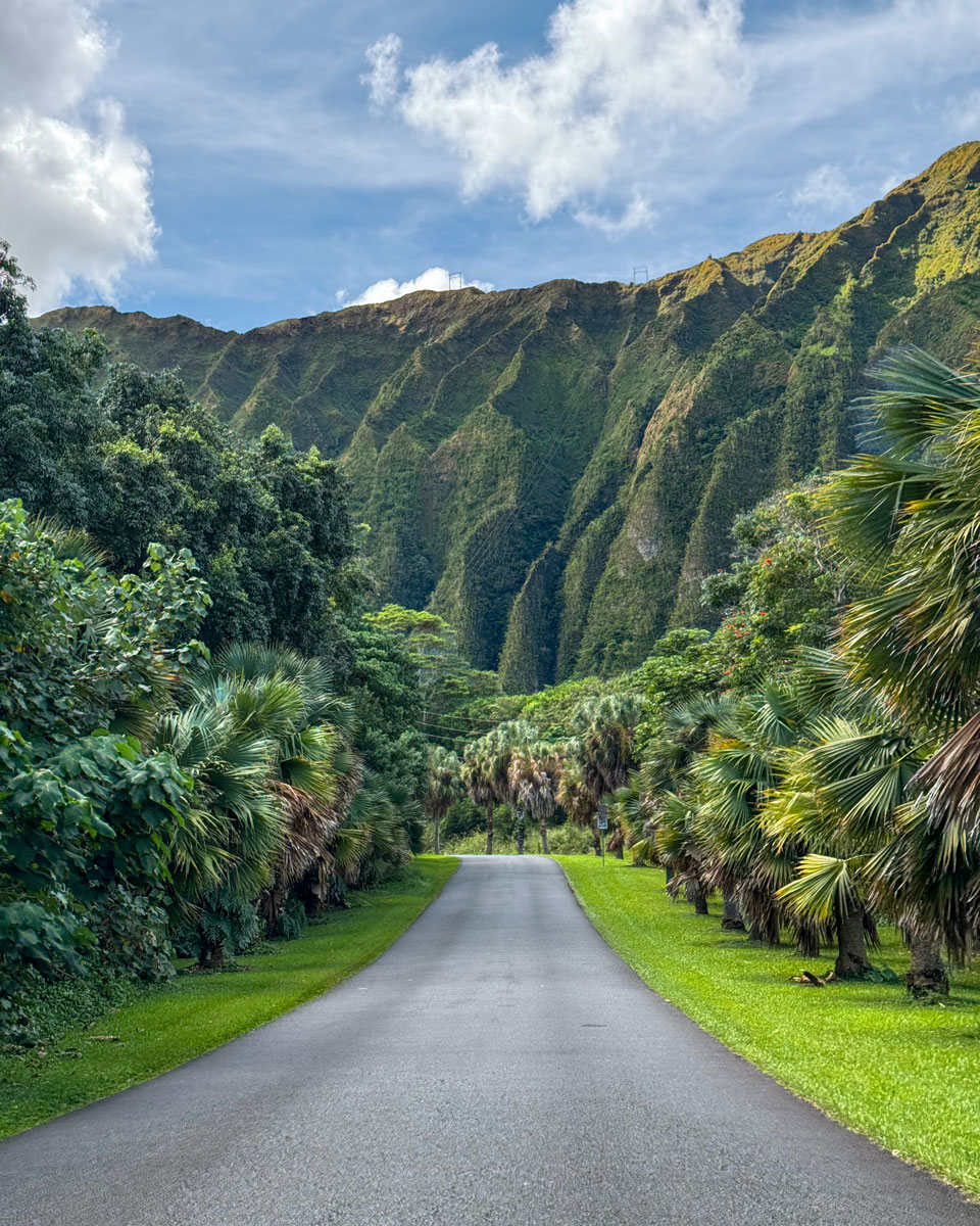 Hoomaluhia Botanical Gardens in Oahu Hawaii