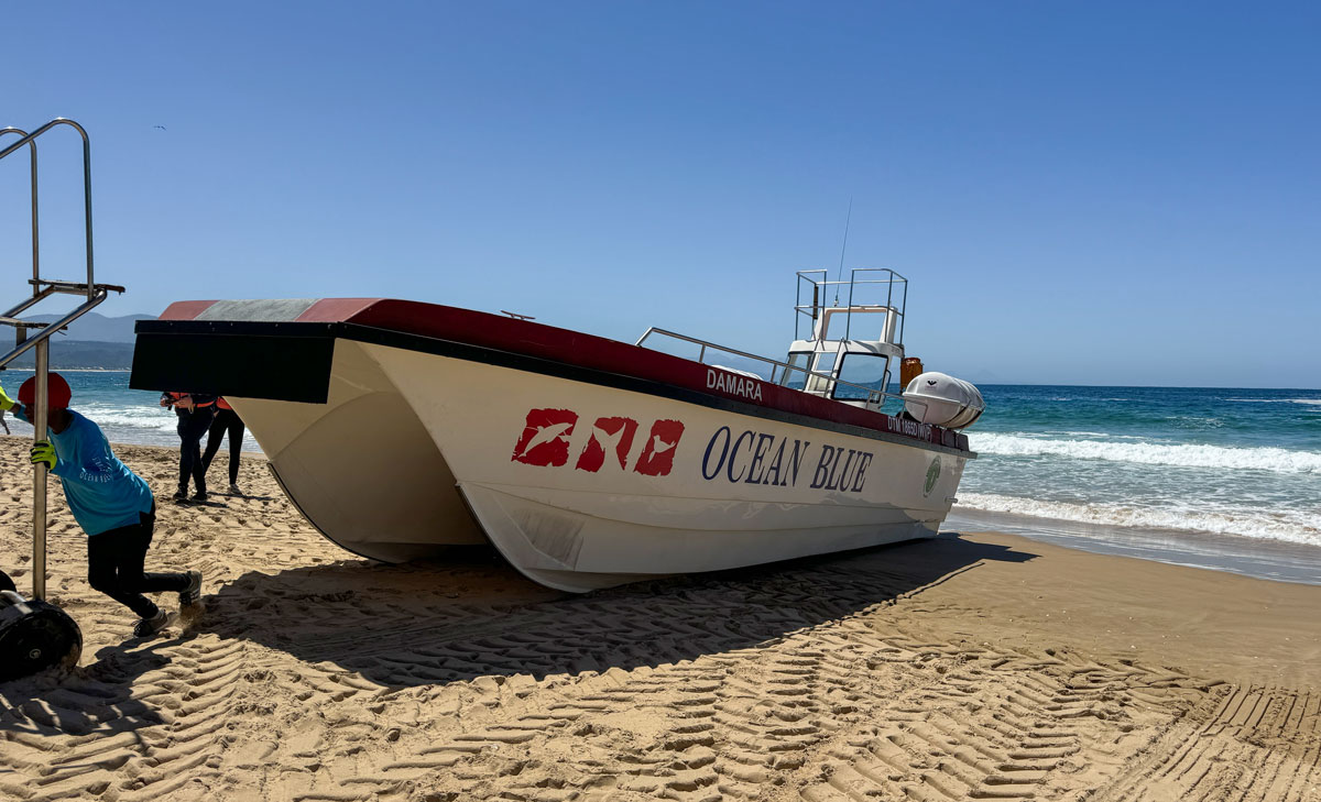 Bootstour mit Blue Ocean Adventures in Plettenberg Bay