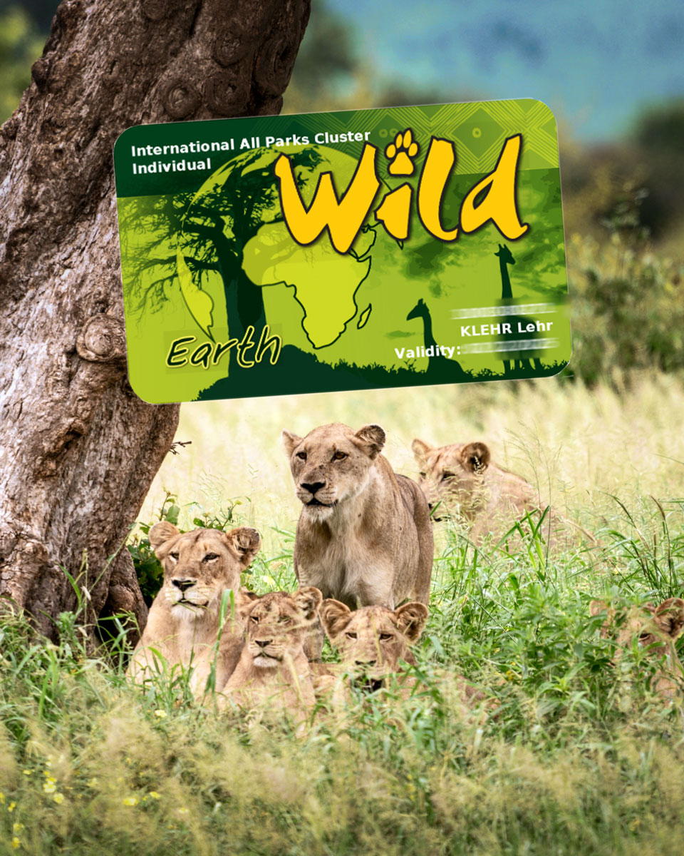 Erfahrung: Wild Card Südafrika